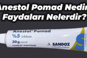 Anestol Pomad(Krem) Niçin Kullanılır, Fiyatı Nedir, Kullanıcı Yorumları?